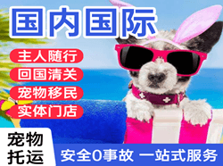 甘南夏河航空托运国际宠物托运 【国